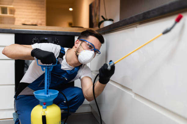 Best Rat Extermination Near Me  in Merrimac, VA