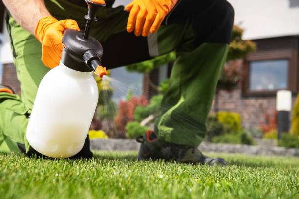 Best Ant Control Services  in Merrimac, VA