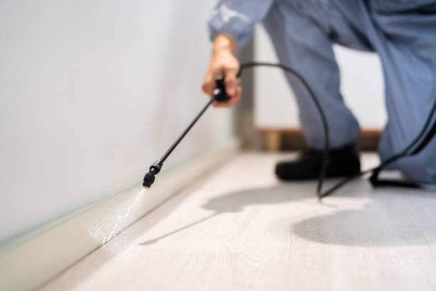 Best Exterminator Services  in Merrimac, VA