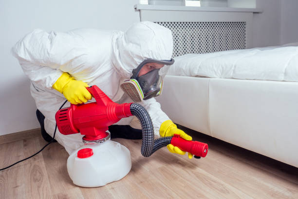 Best Mosquito Control Services  in Merrimac, VA