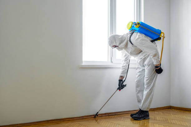 Best Wildlife Control Services  in Merrimac, VA