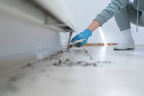 Merrimac, VA Pest Control Company